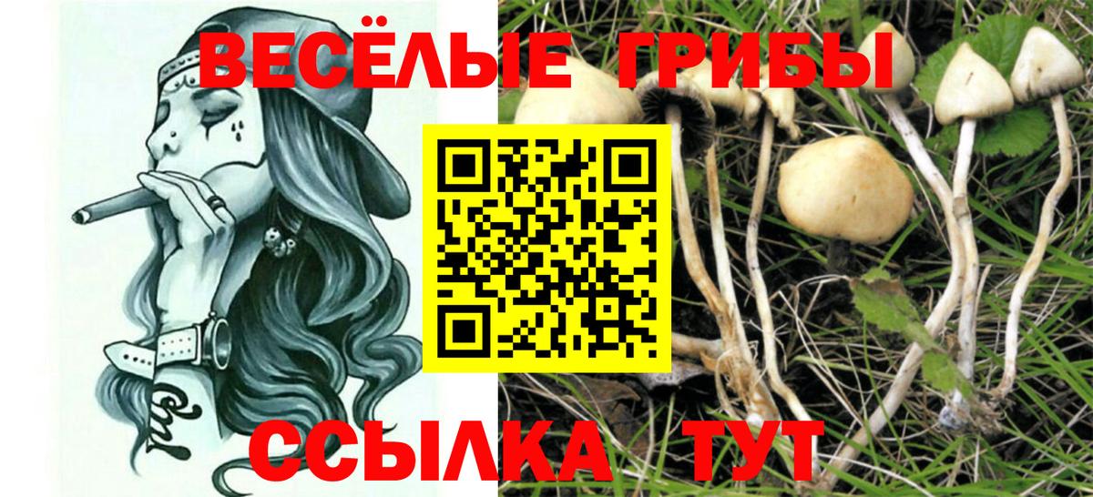 Псилоцибиновые грибы Magic Shrooms Малоярославец